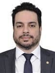 Profile picture of Vinicius Gurgel